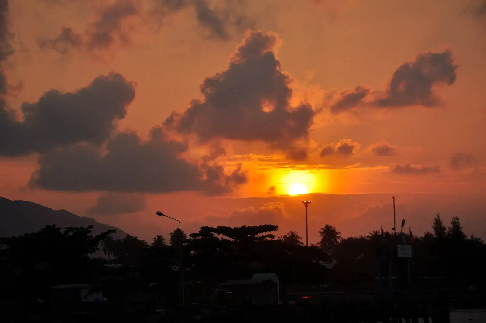 Orange sun rising behind dark clouds and palm silhouettes on Koh Phangan