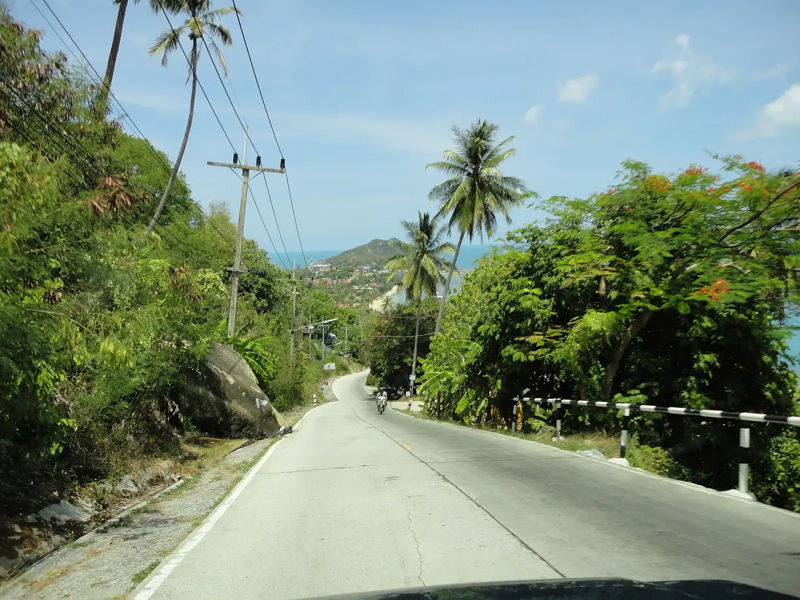 Winding palm-lined road leading down to Haad Rin on Koh Phangan